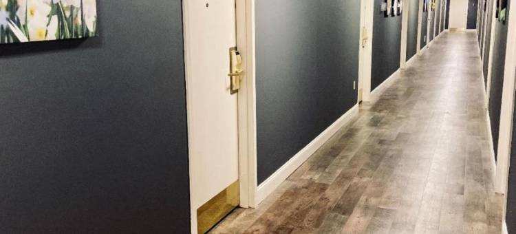 杜克大学旅馆(University Inn Duke)图片