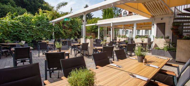 贝苏格福斯特酒店(Hotel Bessunger Forst)图片