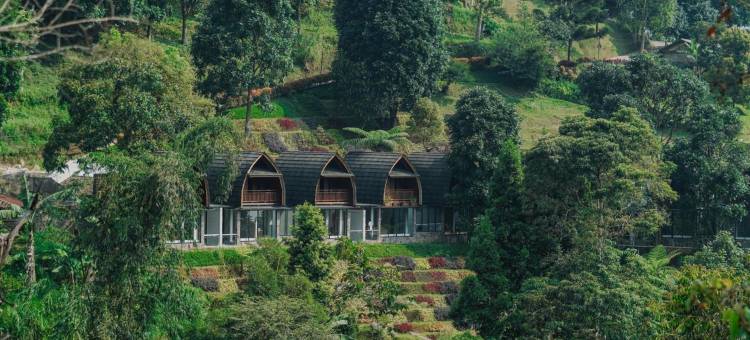 达玛尔朗伊特度假村(Damar Langit Resort)图片