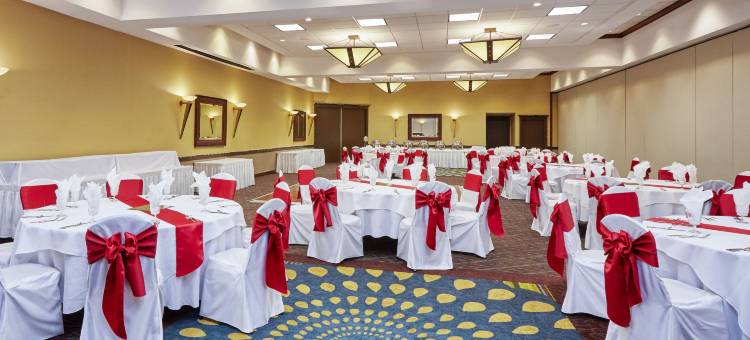 芝加哥马特森德尔塔酒店(Delta Hotels Matteson Chicago)图片