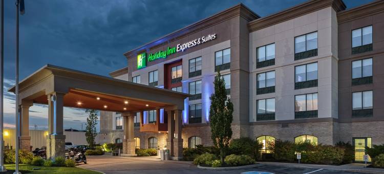 贝勒维尔智选假日酒店(Holiday Inn Express & Suites Belleville)图片