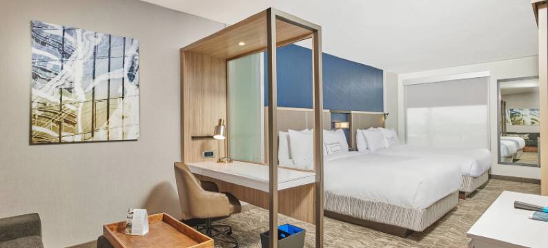 芝加哥唐人街 SpringHill Suites 酒店(SpringHill Suites Chicago Chinatown)图片