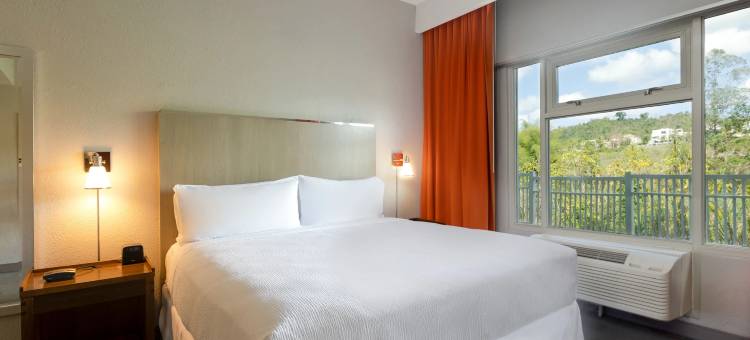 卡瓜斯皇家 福朋喜来登酒店(Four Points by Sheraton Caguas Real Hotel & Casino)图片