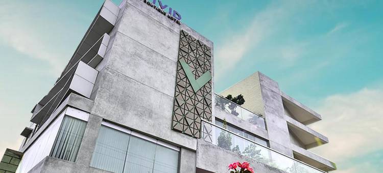 维维德精品酒店(Vivid A Boutique Hotel)图片