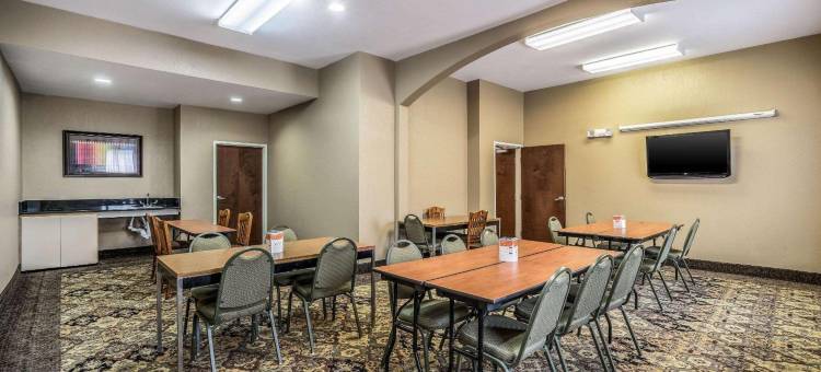 舒适套房酒店-近德州大学(Comfort Suites Near Texas State University)图片