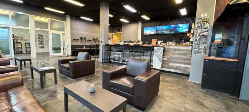 雷克雅未克巴士旅舍(Bus Hostel Reykjavik - Reykjavik Terminal)图片