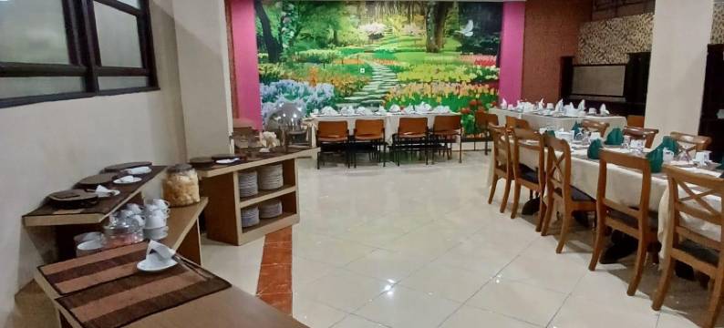 尼基塔酒店(Nikita Hotel)图片