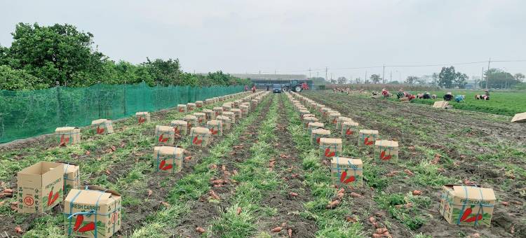 台南后营四号民宿图片