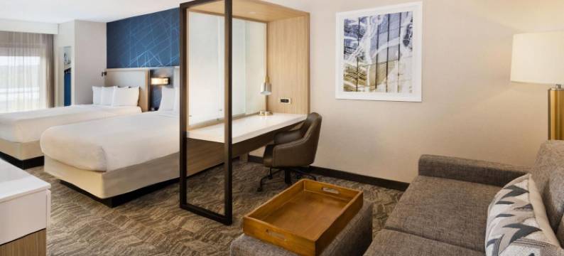 伯明翰科罗内德／格兰德维尤万豪SpringHill酒店(SpringHill Suites Birmingham Colonnade/Grandview)图片