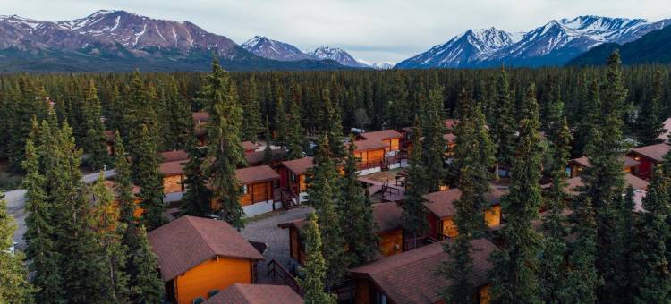 迪纳利小屋旅馆(Denali Cabins)图片
