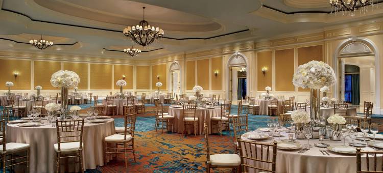 迈阿​​密力丽思卡尔顿椰林酒店(The Ritz-Carlton Coconut Grove, Miami)图片