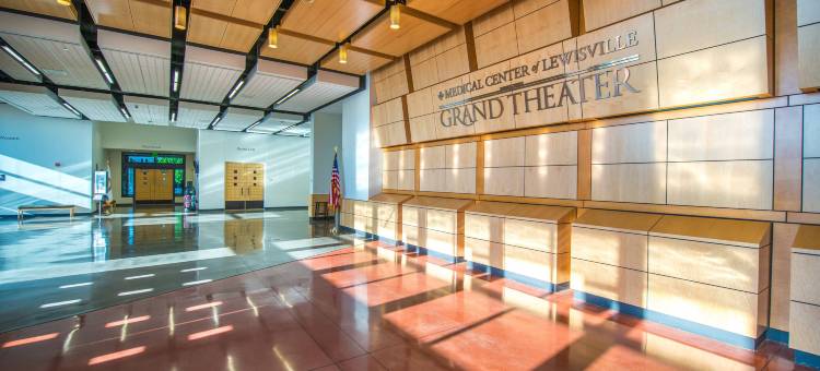 达拉斯路易斯维尔万豪SpringHill Suites 酒店(SpringHill Suites Dallas Lewisville)图片