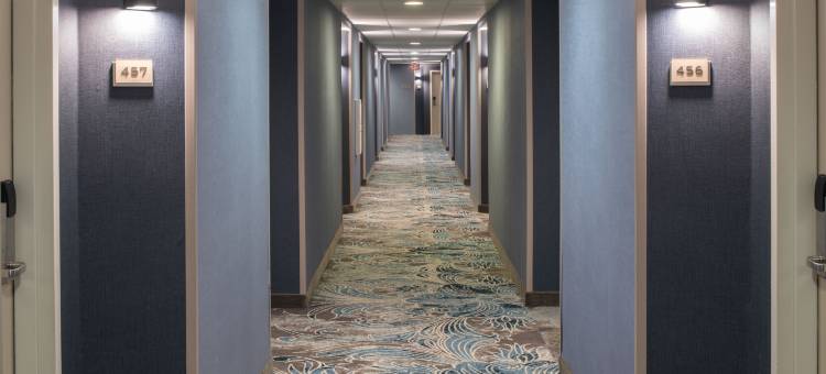 万豪新奥尔良仓库艺术区SpringHill套房(SpringHill Suites New Orleans Warehouse Arts District)图片