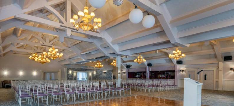 特雷希斯奥克伍德酒店(Treacys Oakwood Hotel, Shannon)图片