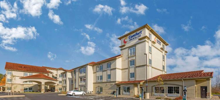 舒适酒店及套房维罗纳在转石度假村娱乐场(Comfort Inn & Suites Verona at Turning Stone Resort Casino)图片