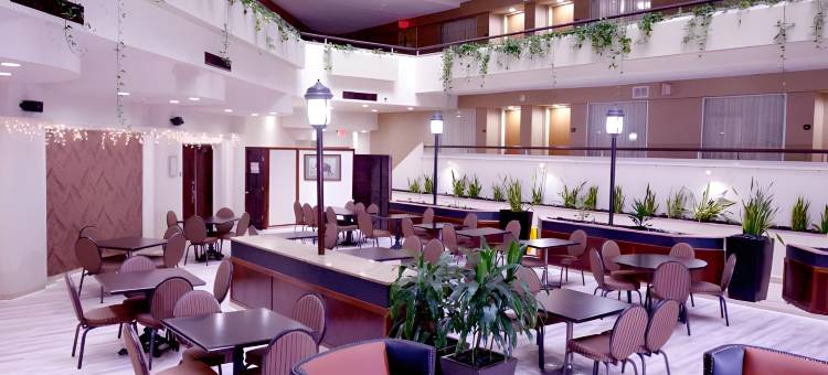 和谐西考克斯草地套房酒店(Harmony Suites Secaucus Meadowlands)图片