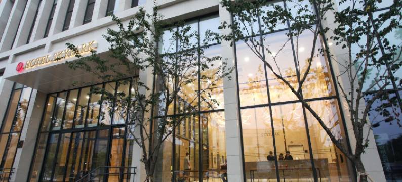 天空花园酒店大田1号店(Hotel Skypark Daejeon 1)图片