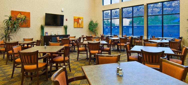 奥罗谷图森北智选假日套房酒店(Holiday Inn Express & Suites Oro Valley-Tucson North)图片