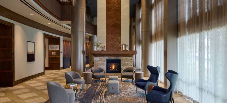 帕克梅多斯南丹佛万豪酒店(Denver Marriott South at Park Meadows)图片