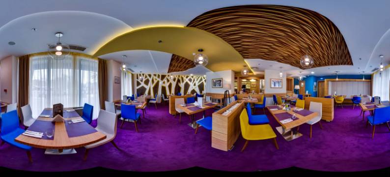 普罗夫迪夫假日酒店(Holiday Inn PLOVDIV by IHG)图片