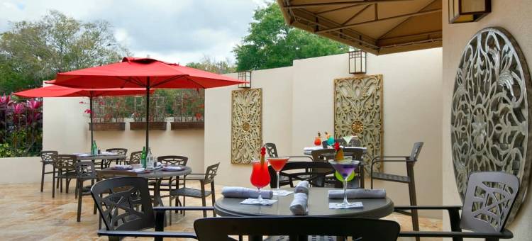 奥兰多希尔顿博伟湖酒店 - 迪斯尼泉™区(Hilton Orlando Lake Buena Vista - Disney Springs™ Area)图片