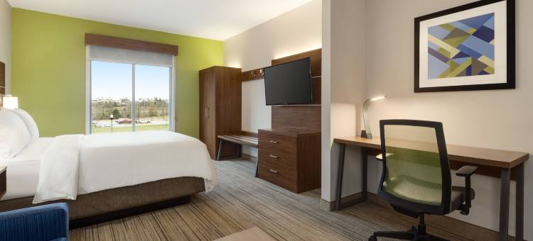 智选假日套房酒店欧佩莱卡赤褐色(Holiday Inn Express & Suites Opelika Auburn)图片