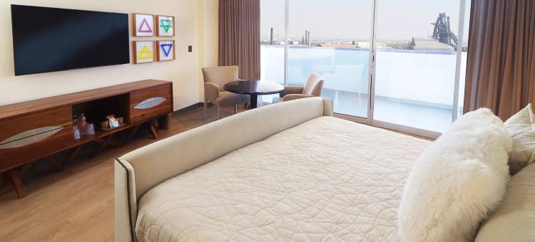 方迪多拉蒙特雷公园假日酒店(Holiday Inn Monterrey-Parque Fundidora)图片