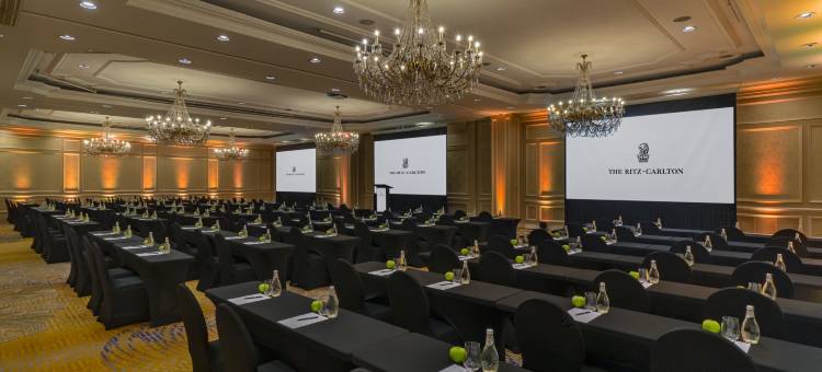 圣地亚哥丽思卡尔顿酒店(The Ritz-Carlton, Santiago)图片