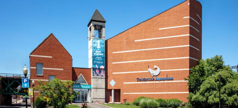 诺沃克居家酒店(Residence Inn Norwalk)图片