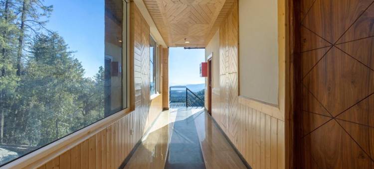 斯特林什瓦利克柴尔酒店(Sterling Shivalik Chail)图片