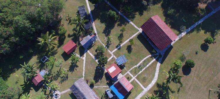 4 Pohon - les 4 Arbres图片