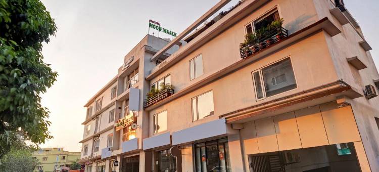 Treebo Moon Waalk, Patia图片