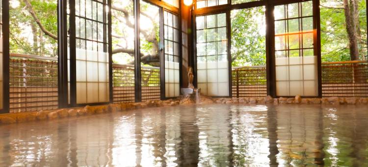 大丸旅馆(Futsukaichi Hot Spring - Daimaru Besso)图片
