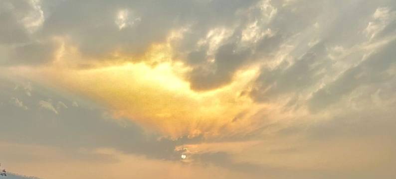 Karjat的Villament度假村(Villament Zinc Journey by the Fern, Karjat)图片