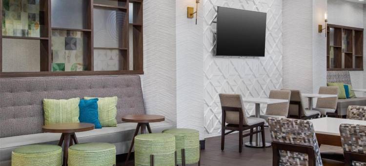 阿林顿北娱乐区欢朋套房酒店达拉斯(Hampton Inn & Suites Dallas-Arlington North-Entertainment District)图片