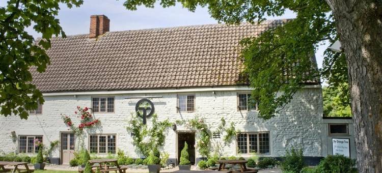 橙树旅馆(The Orange Tree Thornham)图片