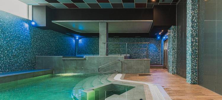 帕斯加酒店spa别墅(Hotel Spa Villa Pasiega)图片