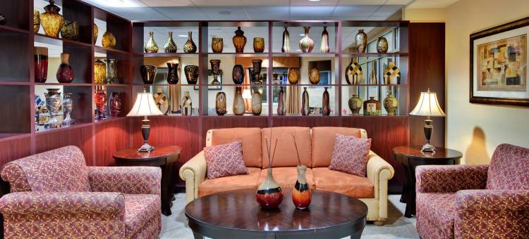 Holiday Inn Express 拉斯维加斯内利斯(Holiday Inn Express Las Vegas-Nellis)图片