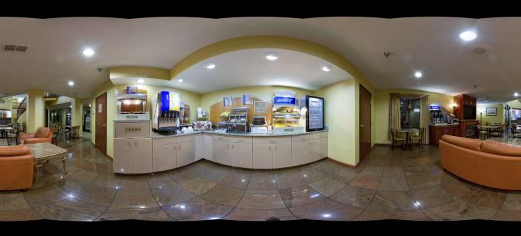 智选假日套房酒店圣路易斯西 - 芬顿(Holiday Inn Express & Suites ST. Louis West - Fenton)图片