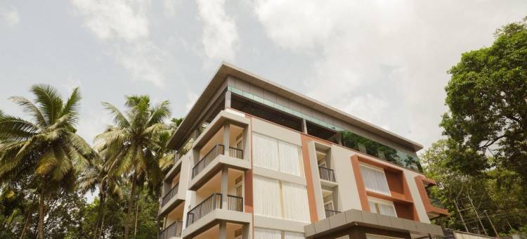 Bluemist Resorts图片