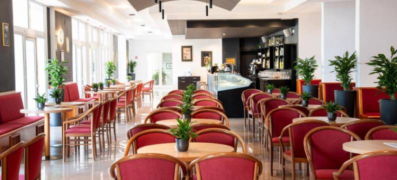 常春藤酒店 - 马斯利尼察酒店及度假村(Hotel Hedera - Maslinica Hotels & Resorts)图片