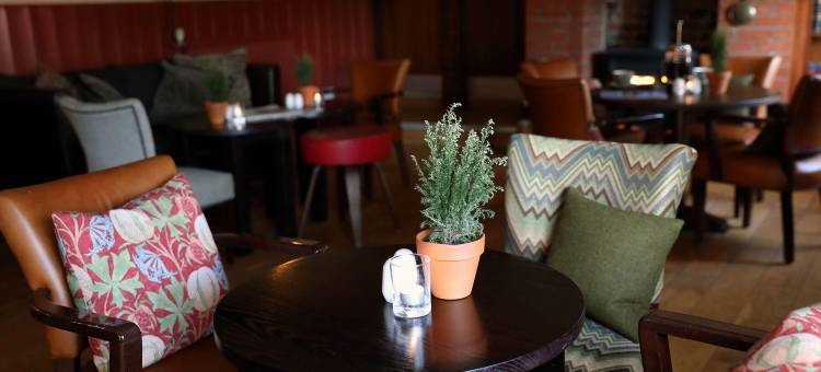 旭日酒店(The Rising Sun)图片