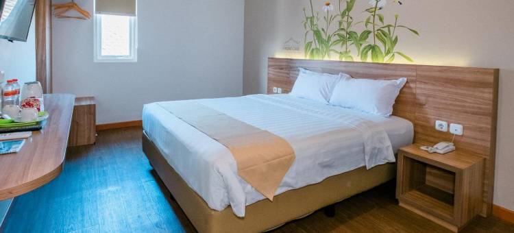 巴图玛琅酒店(Three Eight Front One Boutique Batu Malang)图片