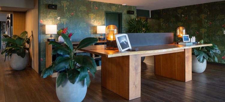 科纳太平洋19号(Pacific 19 Kona)图片