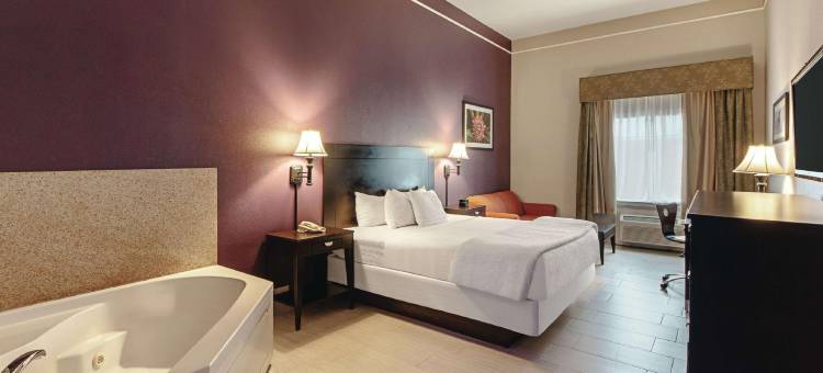 麦卡伦东阿拉莫拉昆塔温德姆套房酒店(La Quinta Inn & Suites by Wyndham Alamo - McAllen East)图片