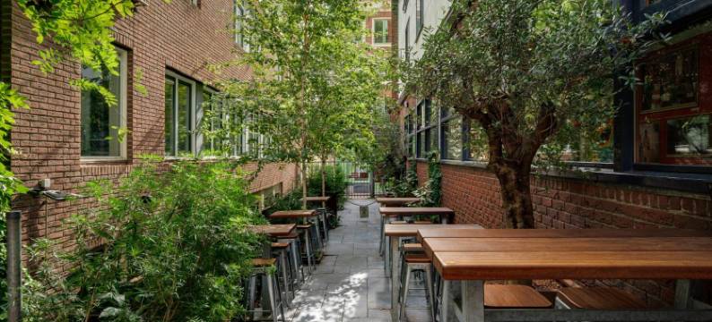 圣克里斯托弗温斯顿旅馆(St Christophers Inn at the Winston)图片