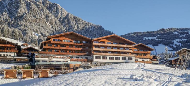 阿尔帕赫霍夫山庄&温泉度假村(Alpbacherhof Mountain & Spa Resort)图片