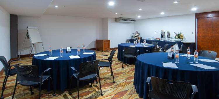 Holiday Inn 奎雷塔罗ZONA迪亚曼泰(Holiday Inn Queretaro Zona Diamante)图片