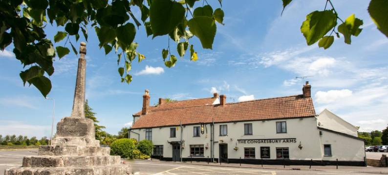 康格雷斯伯里阿姆斯酒店(The Congresbury Arms)图片
