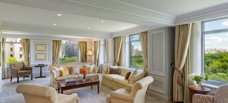 纽约中央公园丽思卡尔顿酒店(The Ritz-Carlton New York, Central Park)图片